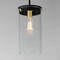 Maxim Lighting Pinn Large Single Pendant 12408CLBKSBR - alternate 2